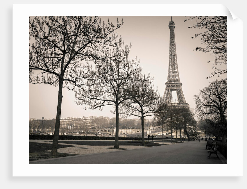Pathway to Eiffel tower, Paris by Assaf Frank